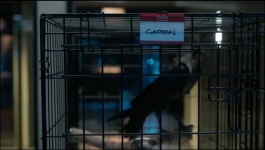 CSI Vegas - Season 02 Episode 09